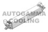 AUTOGAMMA 107040 Intercooler, charger